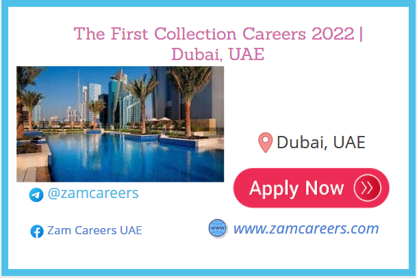 The First Collection Careers
